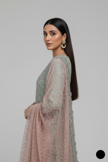 ABS 3172 Pakistani women's organza plazo outfit detail view