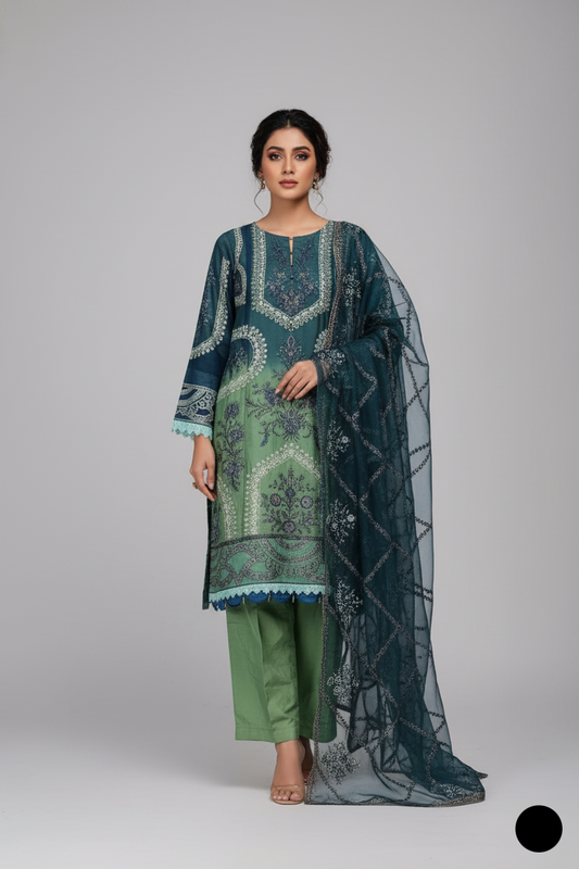Chiffon straight shirt plazo PNW 6265 - Pakistani women's elegant outfit with organza dupatta front view