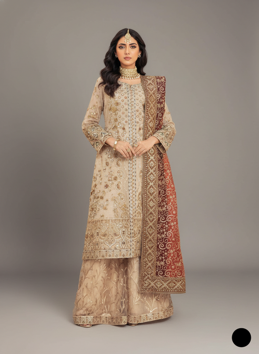 Masuri Net open cut shirt plazo ABL 4110 SKIN - Pakistani women's formal party wear front view