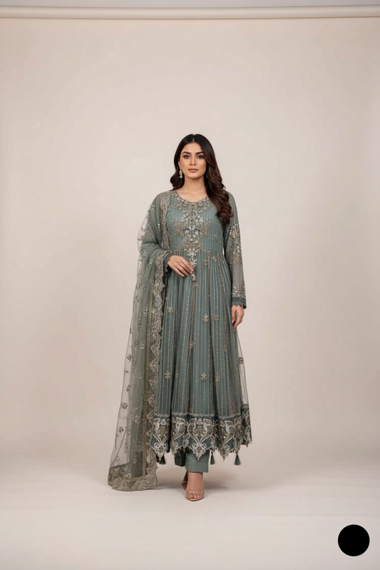 Net long frock ABS 3224 - Pakistani women's elegant outfit with net dupatta front view