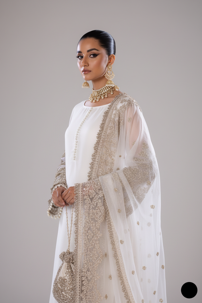 KB P255 Pakistani women's chiffon sharara with net dupatta back view
