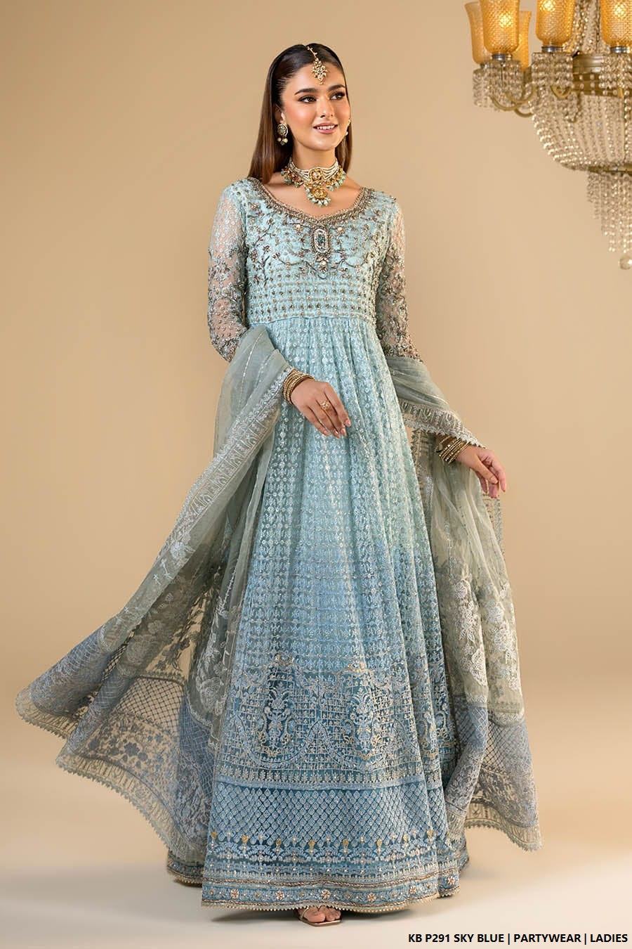 Velvet embroidered suit sky blue - Pakistani women's luxury bridal winter wear front view