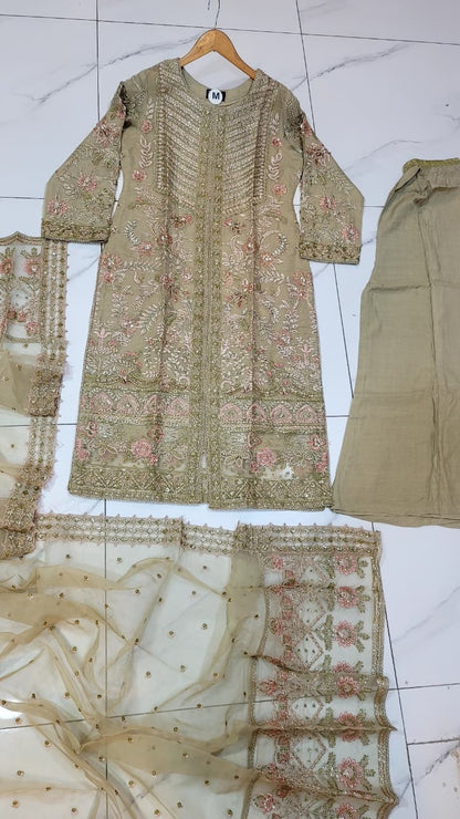 Pakistani women's skin organza straight shirt plazo full view