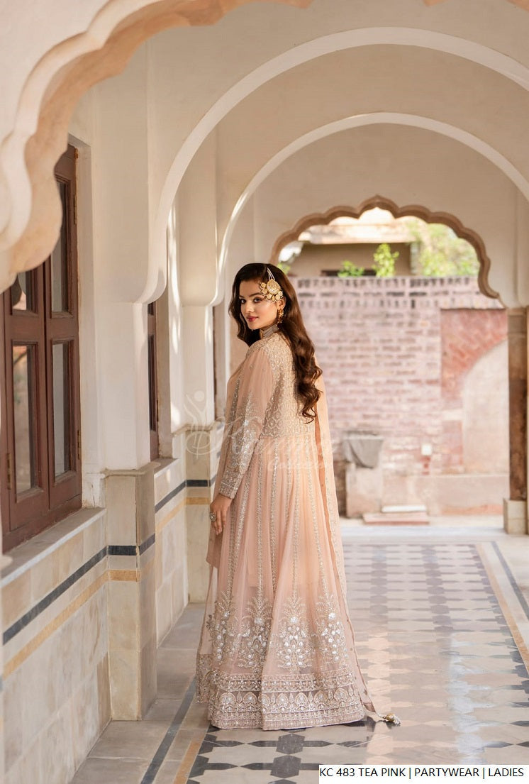 Pakistani women's tea pink silk long kaftan plazo back view