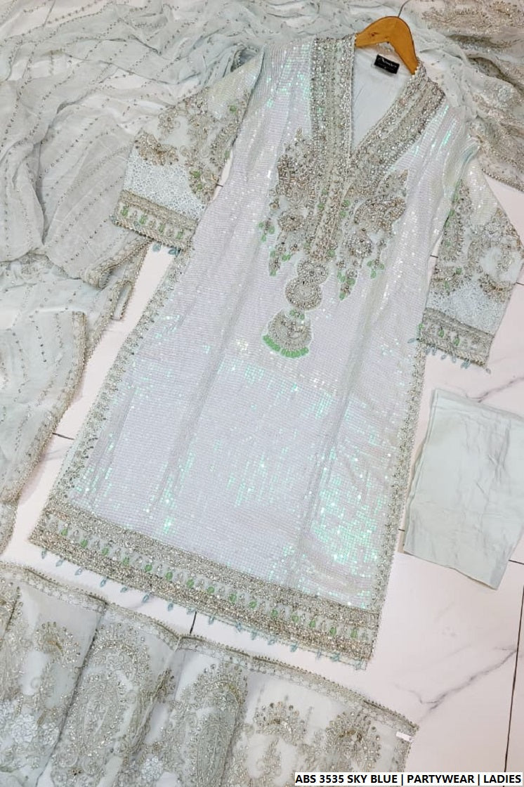 Pakistani women's sky blue organza straight shirt back view