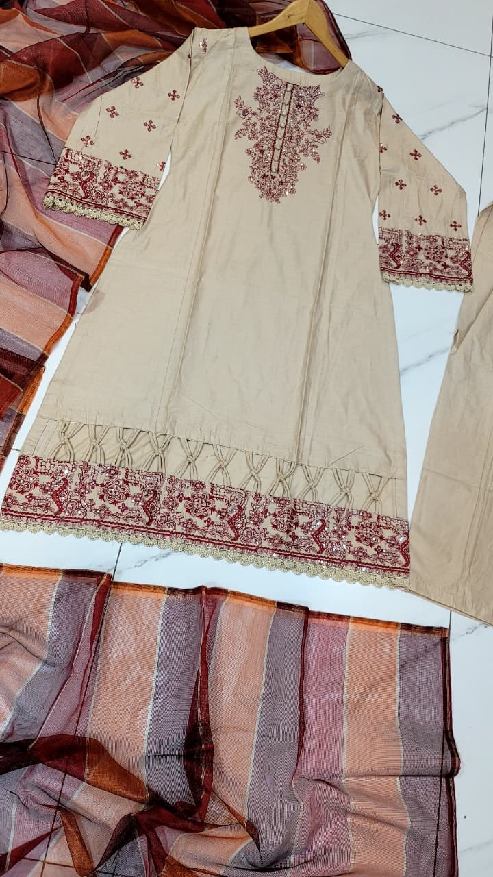 Pakistani women's skin lawn A-Line casual outfit back view