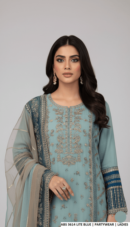 Pakistani women's light blue chiffon straight shirt back view